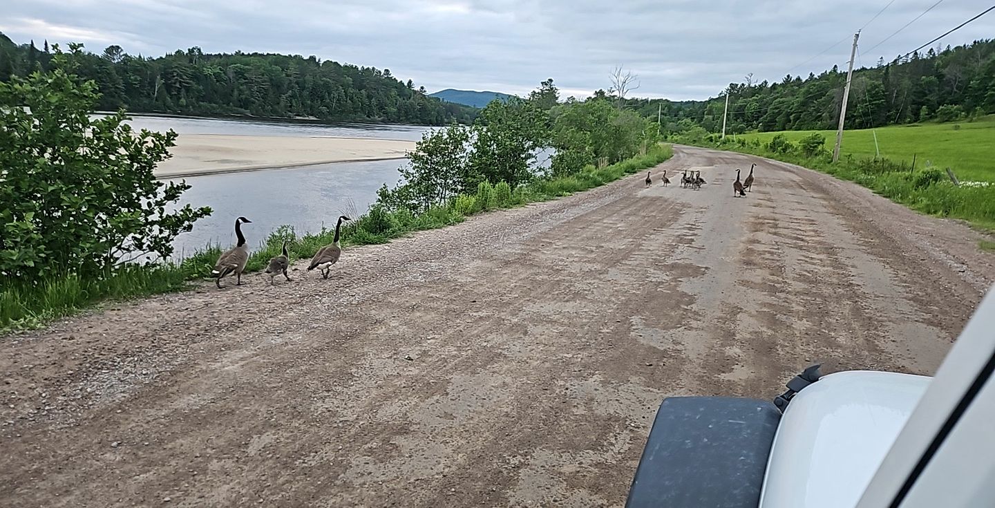 Cozy Wilderness Hideaway with Scenic Trails, Wildlife Views & Starry Nights in Quebec, Canada