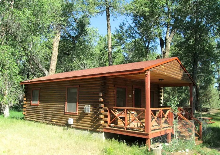 Charming Woodland Cabin with Cozy Porch & Green Space in Cripple Creek, Colorado