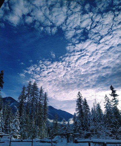 Cabins (Canada, Silverton, British Columbia)