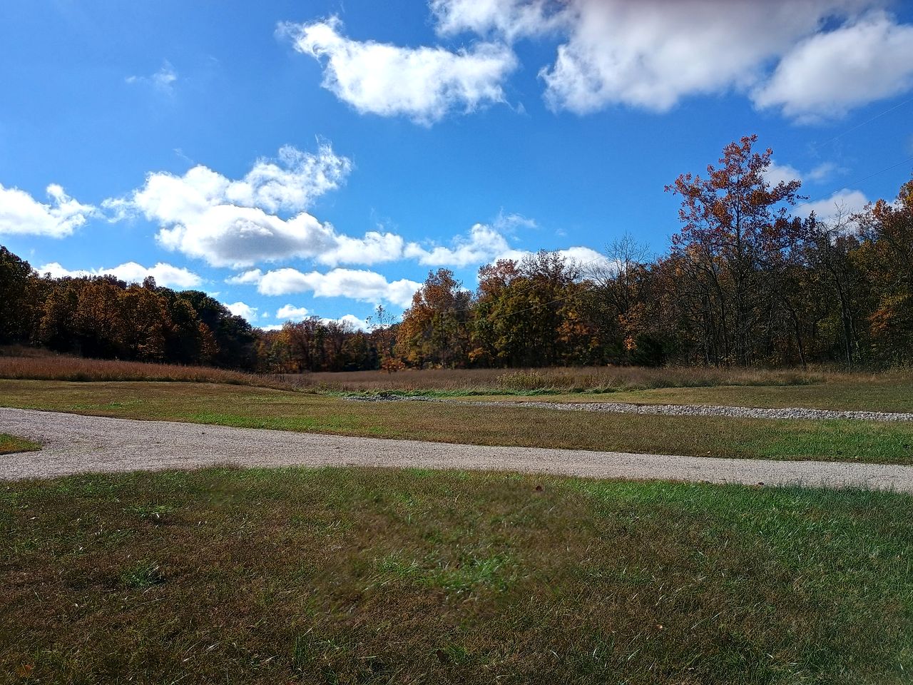 Peaceful Woodland Cabin with Balcony & Starry Nights in Steelville, Missouri