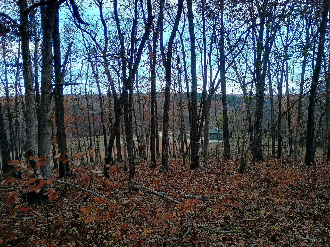 Peaceful Woodland Cabin with Balcony & Starry Nights in Steelville, Missouri