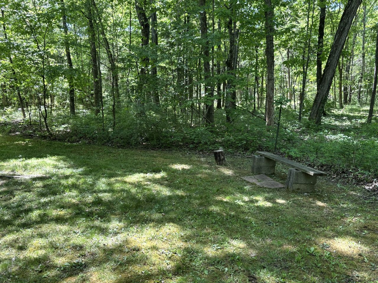 Peaceful Tiny Cabin Escape with Loft, Private Trail & Forest Views in Columbia, Tennessee