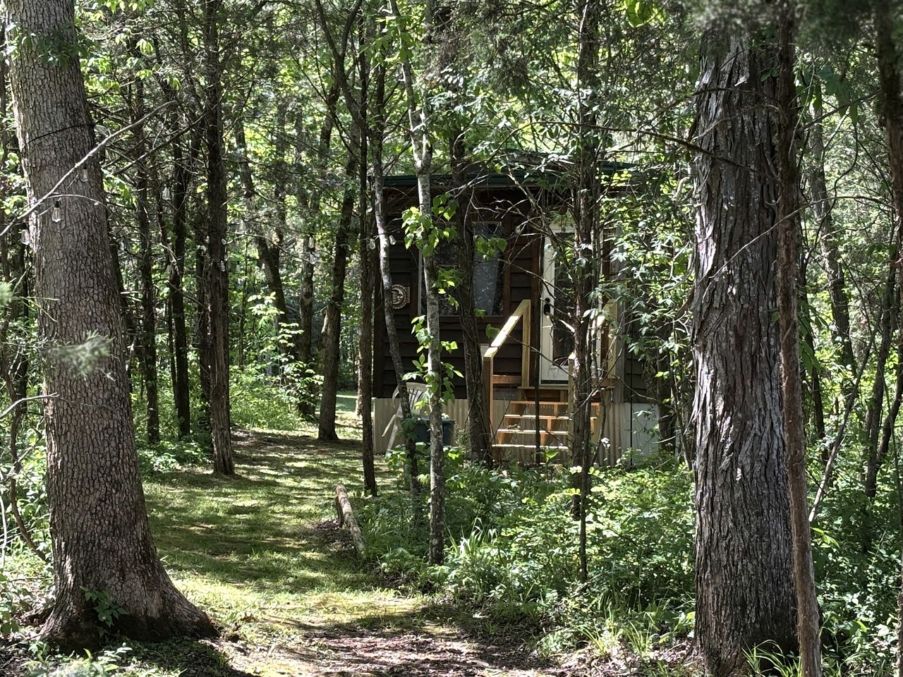 Peaceful Tiny Cabin Escape with Loft, Private Trail & Forest Views in Columbia, Tennessee