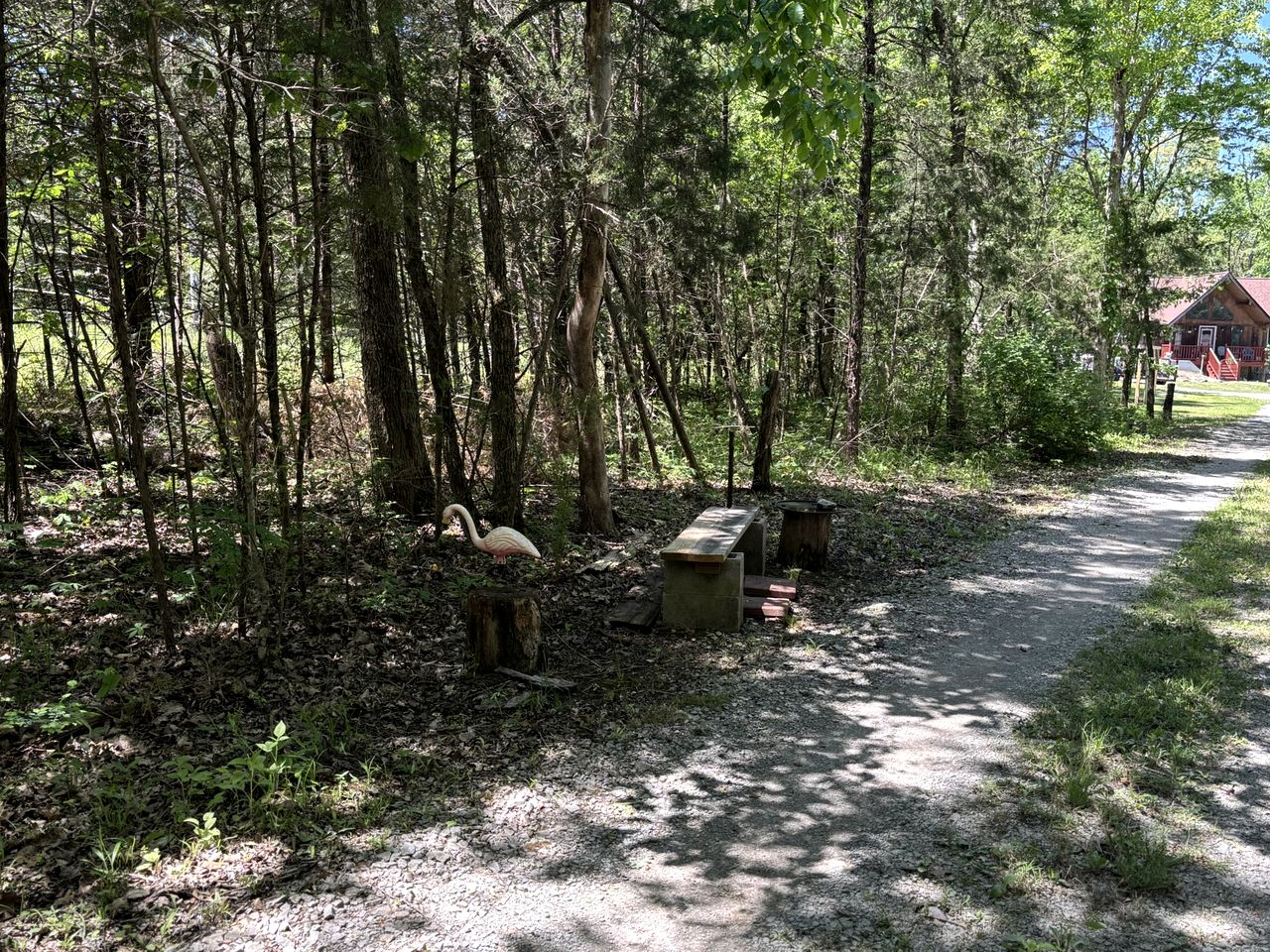 Peaceful Tiny Cabin Escape with Loft, Private Trail & Forest Views in Columbia, Tennessee
