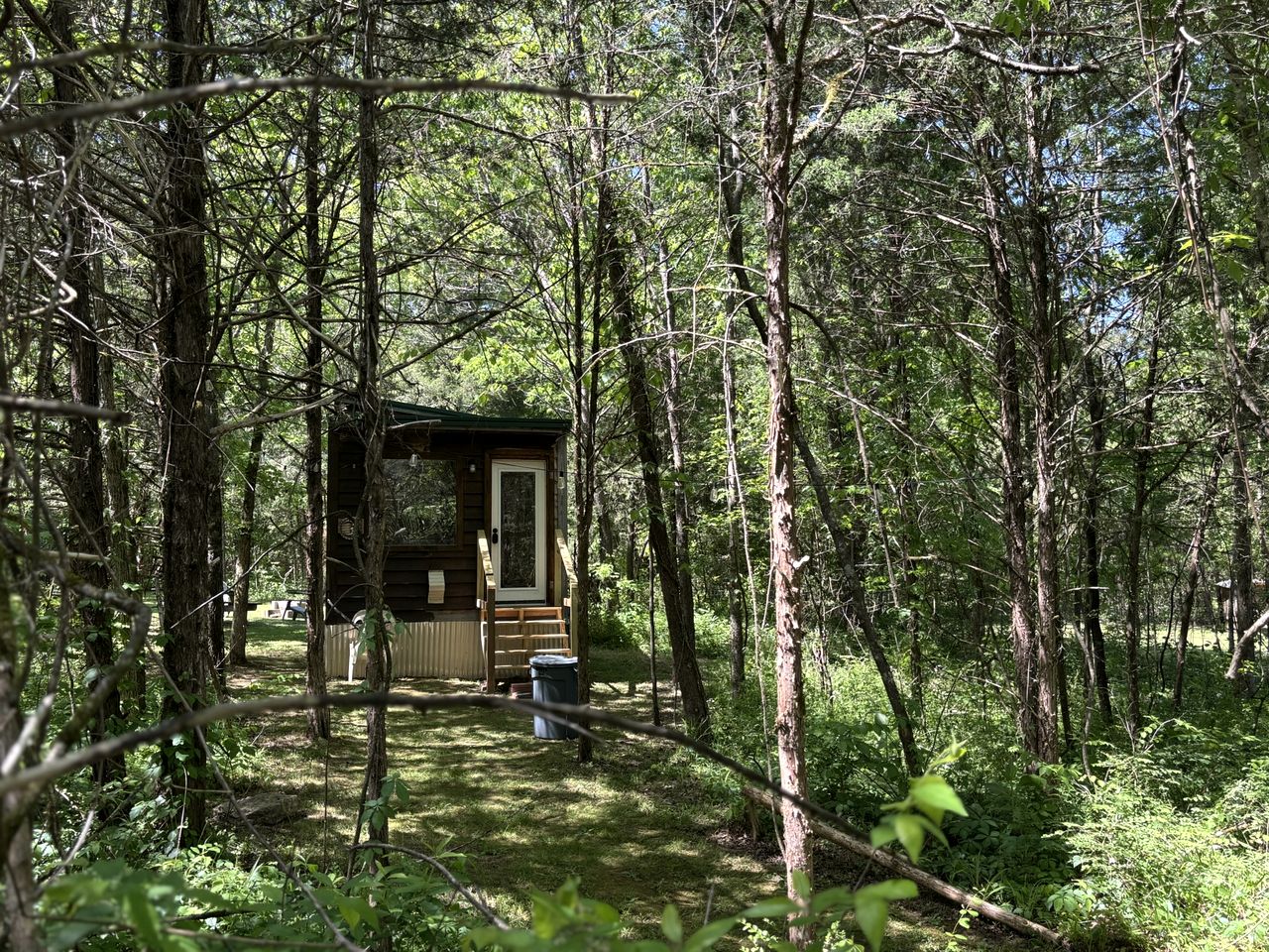 Peaceful Tiny Cabin Escape with Loft, Private Trail & Forest Views in Columbia, Tennessee