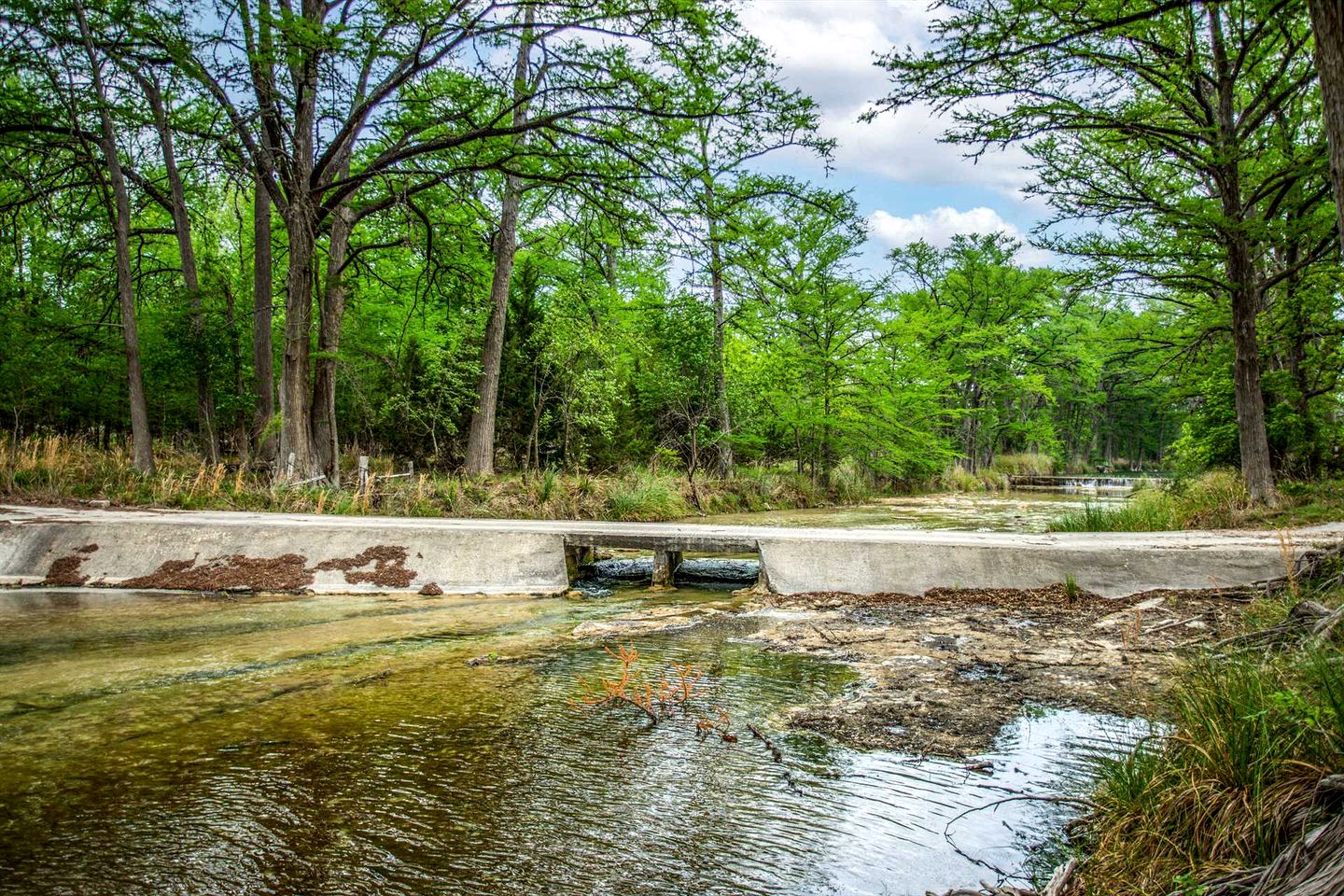 Peaceful Waterfront Retreat with Private Riverfront & Wildlife Views in Medina, Texas