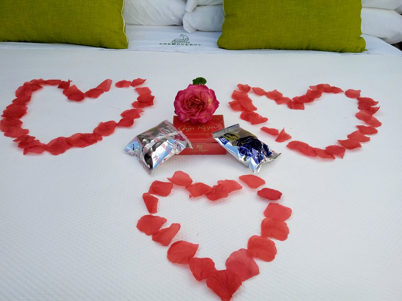 Luxury Stargazing Bubble for a Peaceful Romantic Escape in Segovia, Spain