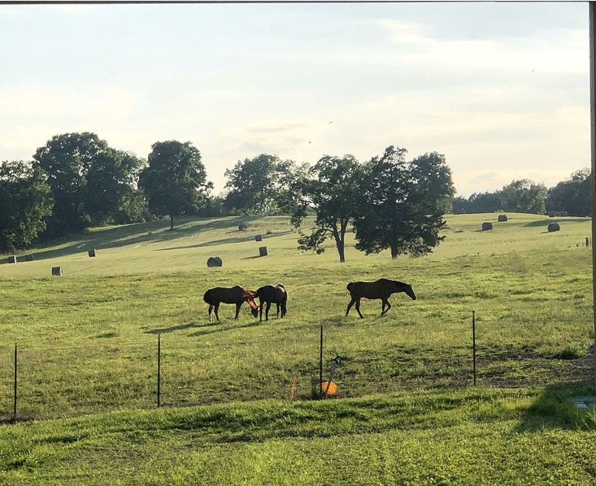 Rustic Countryside Barn with Horse Boarding & Pastures near Nashville, Lebanon, Tennessee