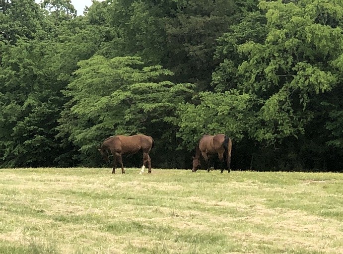 Vacation Rentals (United States of America, Lebanon, Tennessee)