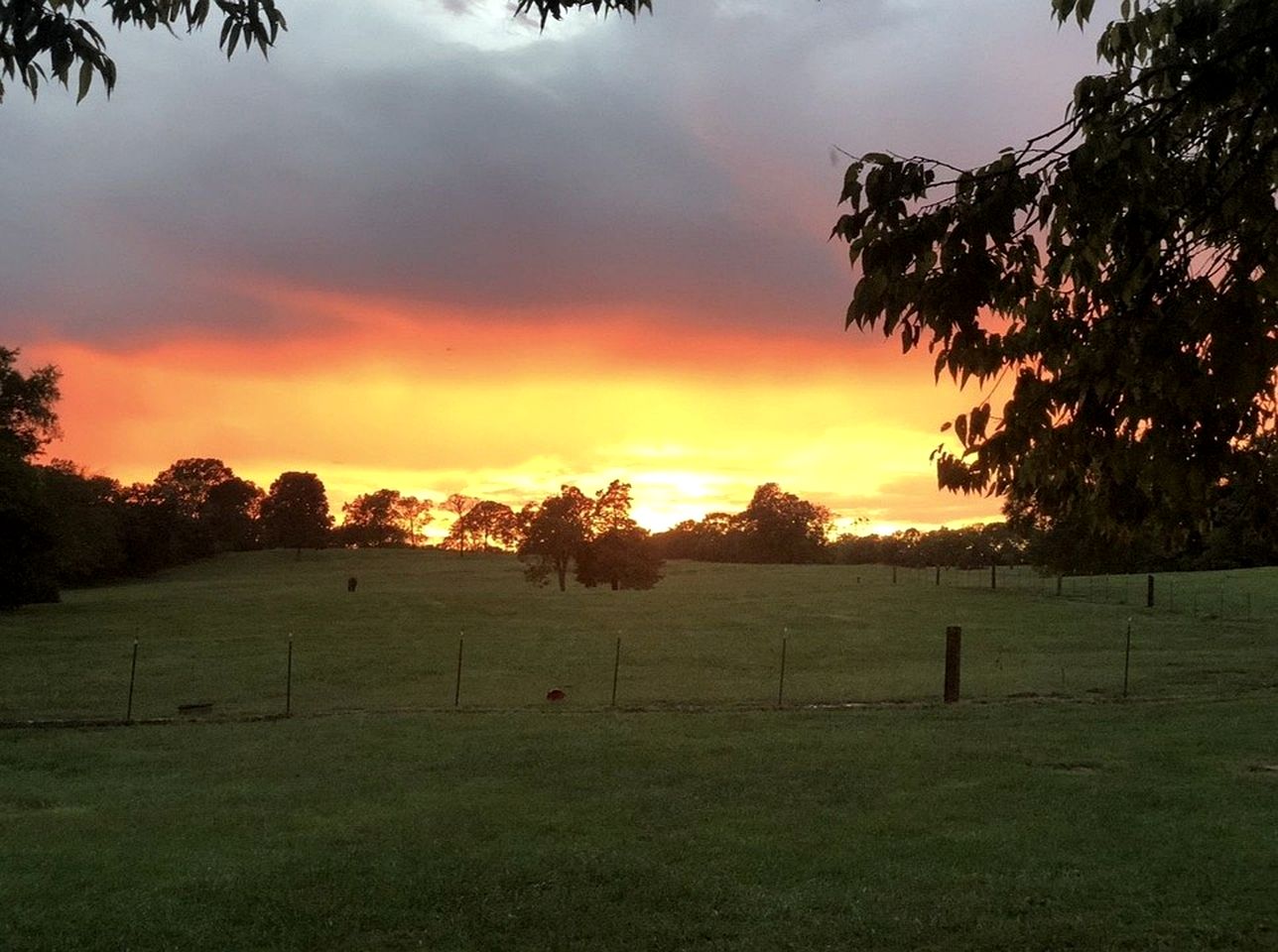 Rustic Countryside Barn with Horse Boarding & Pastures near Nashville, Lebanon, Tennessee