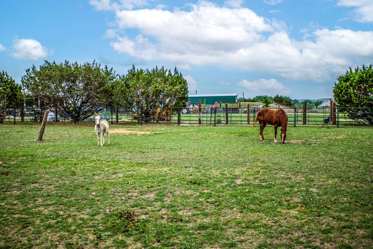 Cabins (United States of America, Medina, Texas)