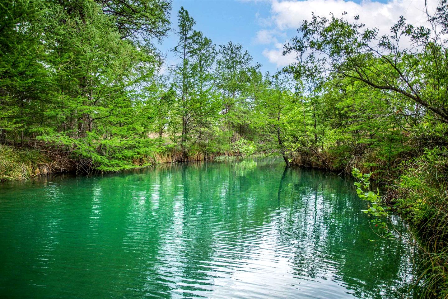 Relaxing Waterfront Cabin Getaway for Families and Couples in Medina, Texas