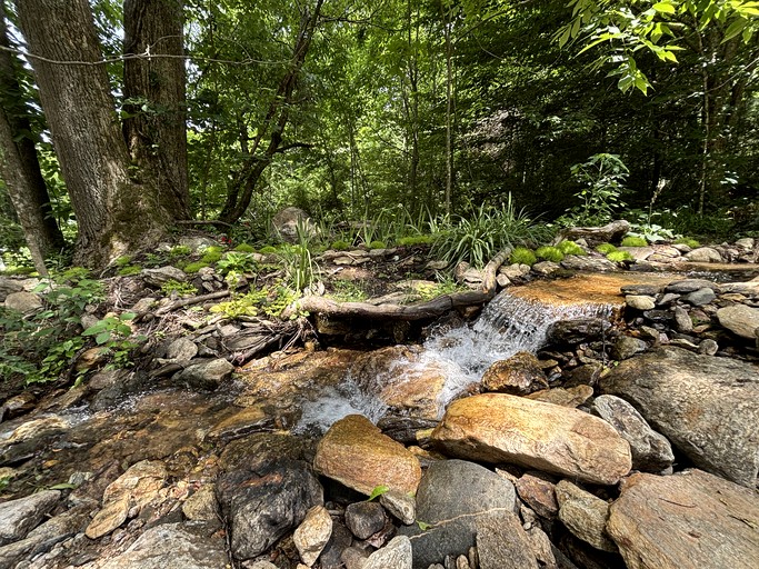 Cabins (United States of America, Weaverville, North Carolina)