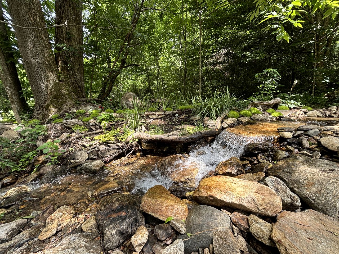 Quiet Mountain Cabin Retreat with Soothing Creek Sounds in Weaverville, North Carolina