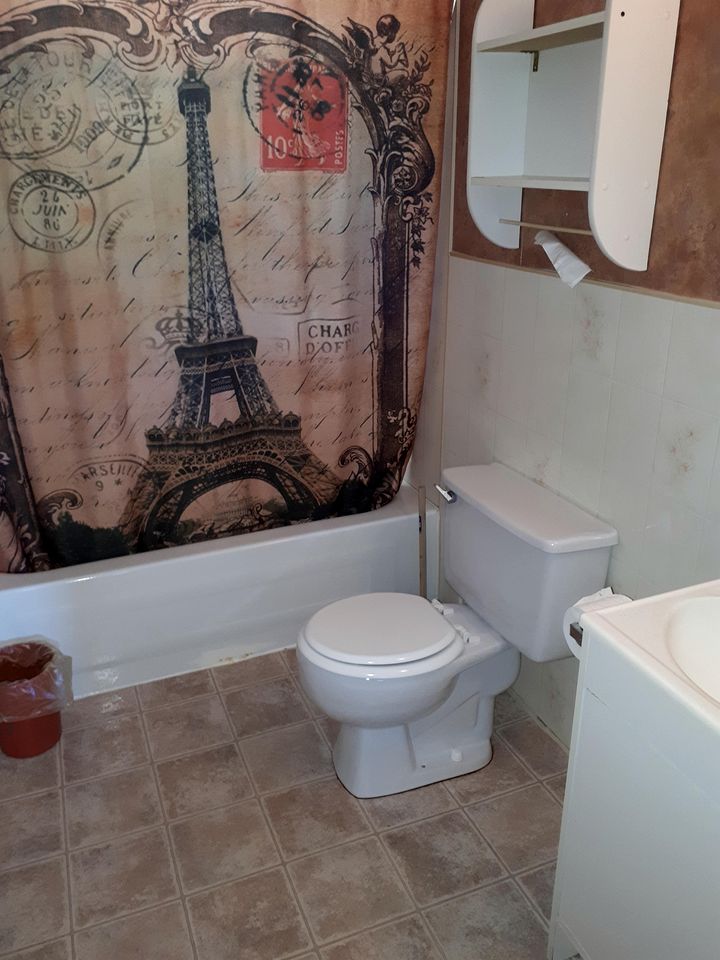 Relaxing Waterfront Cottage Retreat with Boats & Bonfire Nights in Ontario, Canada