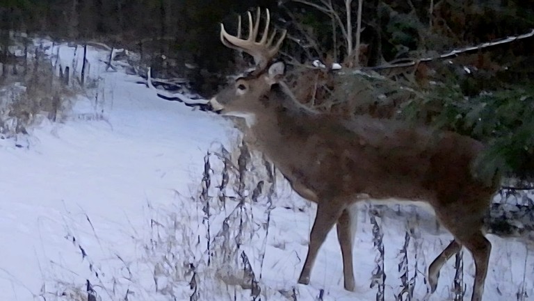 Bell Tents (Canada, Peterborough, Ontario)