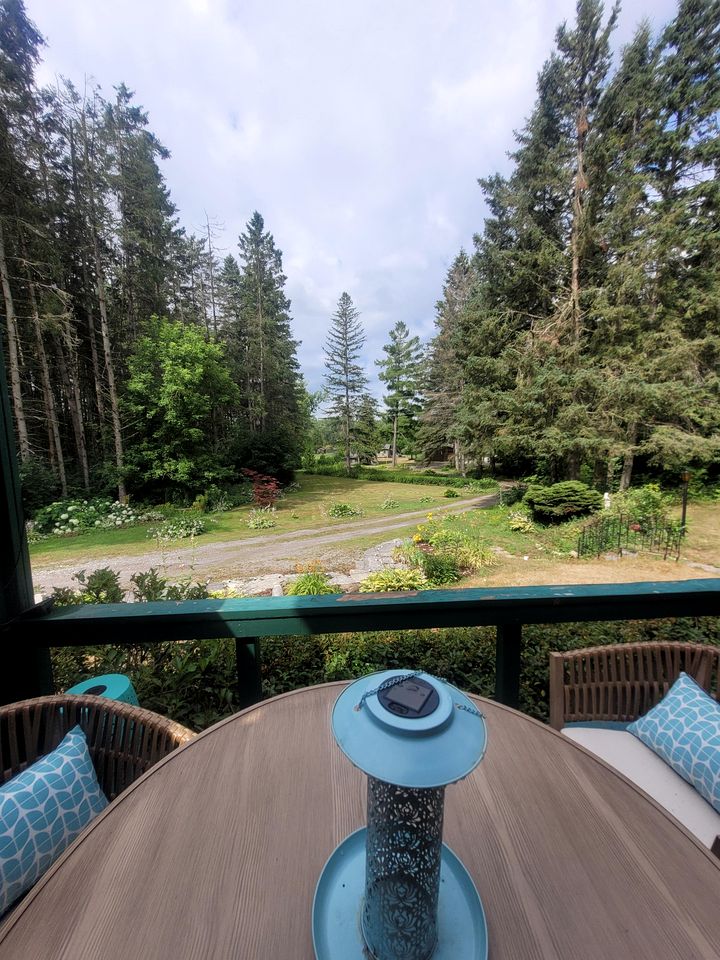 Tranquil Nature Retreat with Lavender Fields & River Access in Ontario, Canada