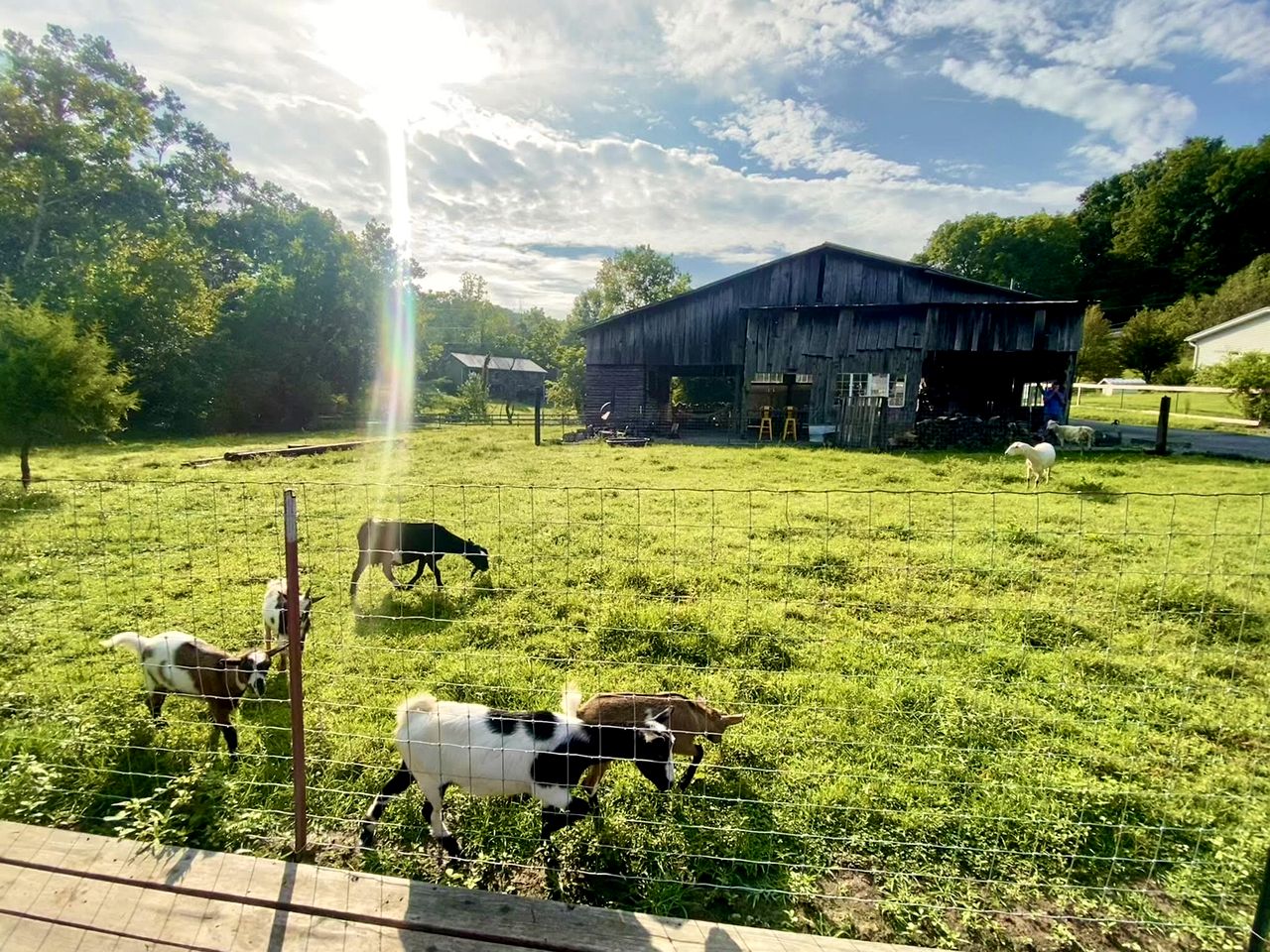 Peaceful Cabin Retreat with Spa Features & Unique Farm Vibes in Newport, Tennessee