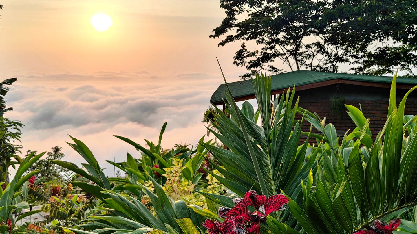 Serene Eco-Lodge with Organic Coffee Farm & Mountain Views near Minca, Sierra Nevada de Santa Marta