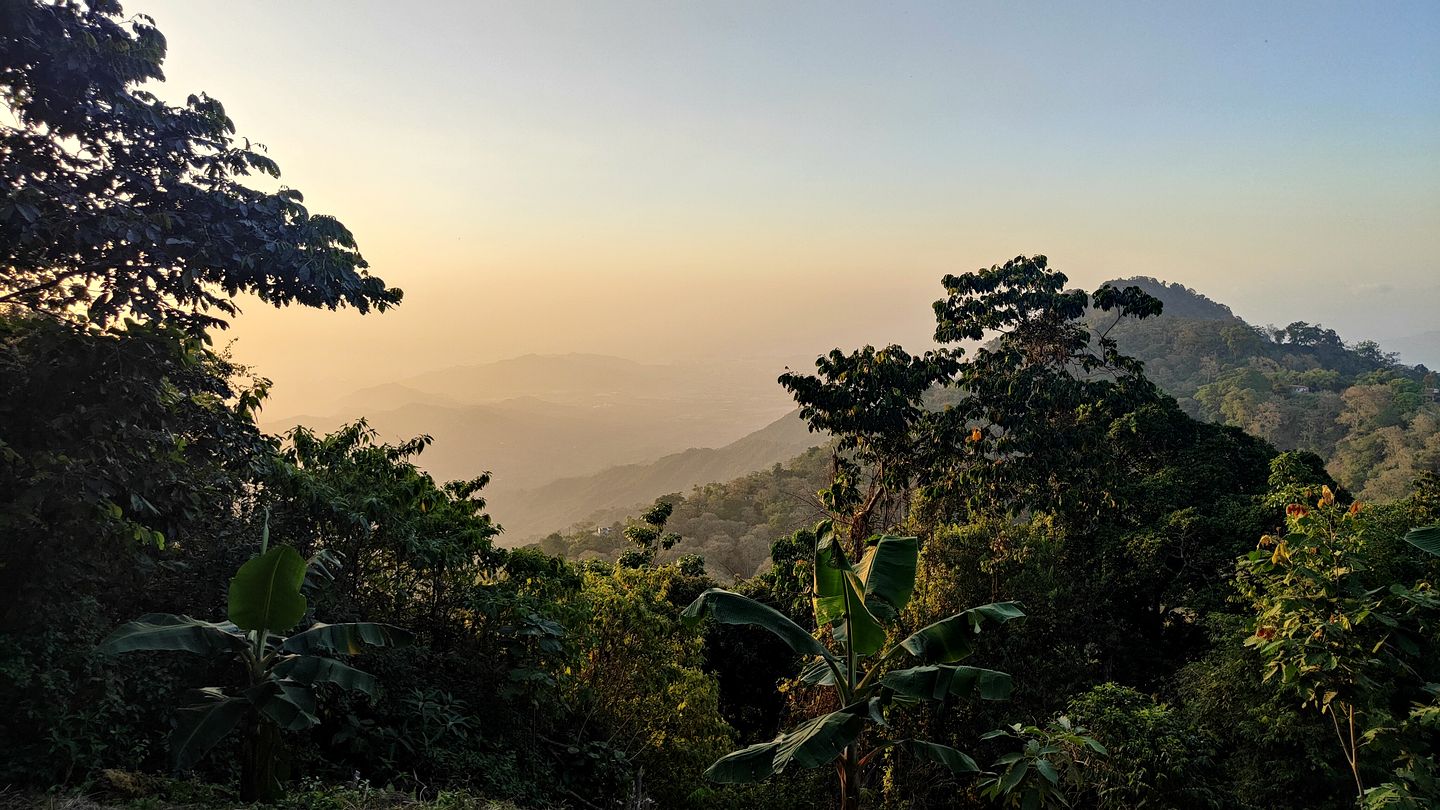 Serene Eco-Lodge with Organic Coffee Farm & Mountain Views near Minca, Sierra Nevada de Santa Marta