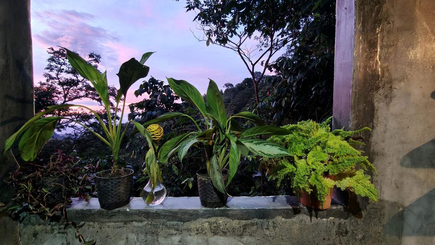 Serene Eco-Lodge with Organic Coffee Farm & Mountain Views near Minca, Sierra Nevada de Santa Marta