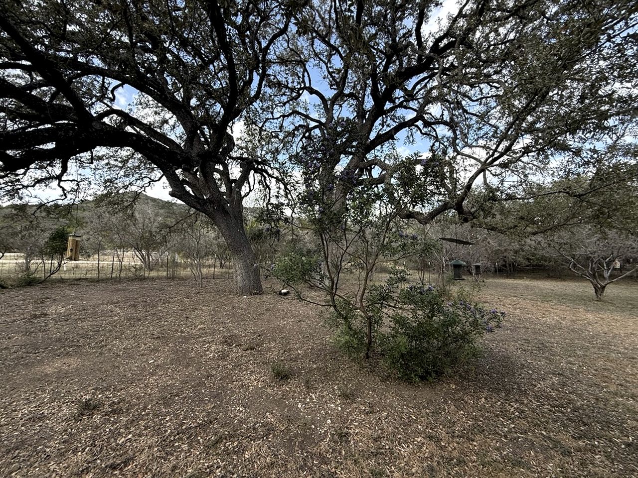 Charming Hill Country Escape with Scenic Views & Outdoor Spaces in Concan, Texas