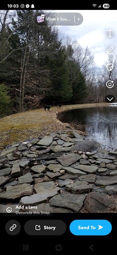 Cabins (United States of America, --, New York)