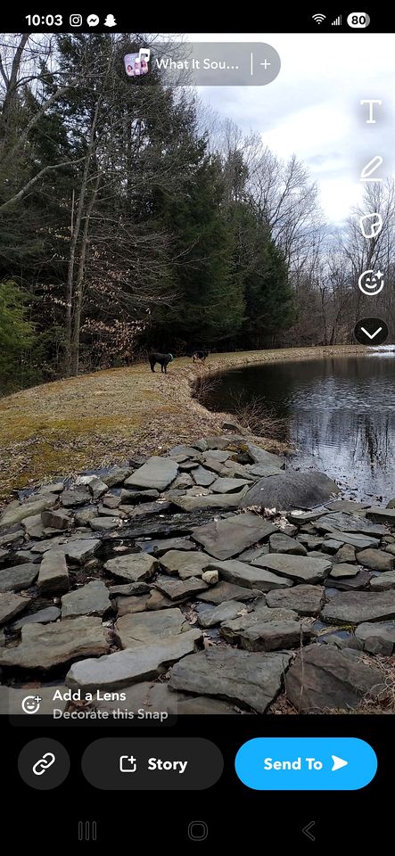 Peaceful Woodland Retreat with Private Pond & Total Privacy in Glen Aubrey, New York