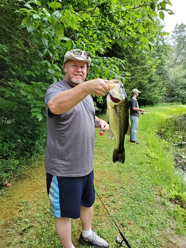 Cabins (United States of America, --, New York)