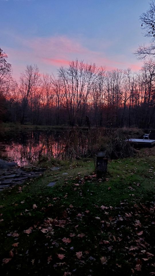 Peaceful Woodland Retreat with Private Pond & Total Privacy in Glen Aubrey, New York