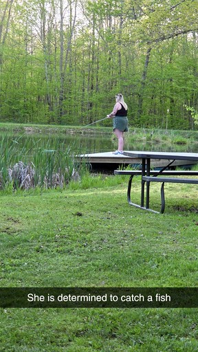 Cabins (United States of America, --, New York)