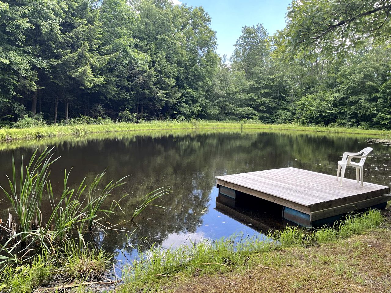 Peaceful Woodland Retreat with Private Pond & Total Privacy in Glen Aubrey, New York