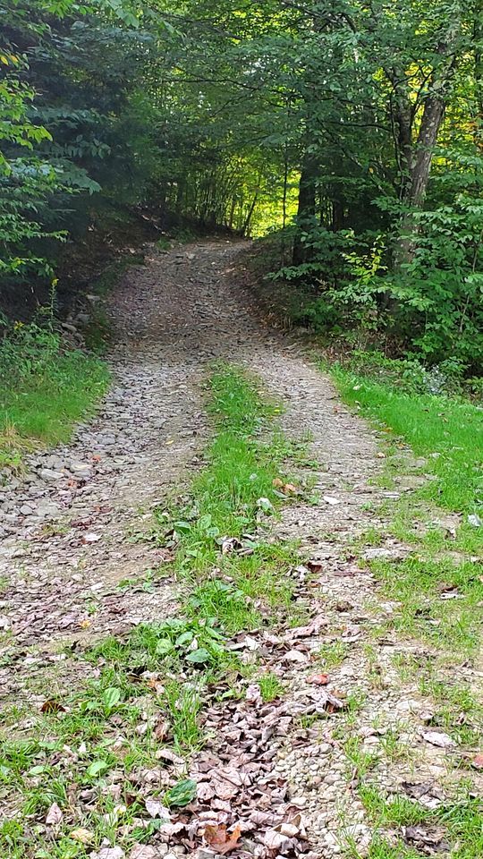 Peaceful Woodland Retreat with Private Pond & Total Privacy in Glen Aubrey, New York