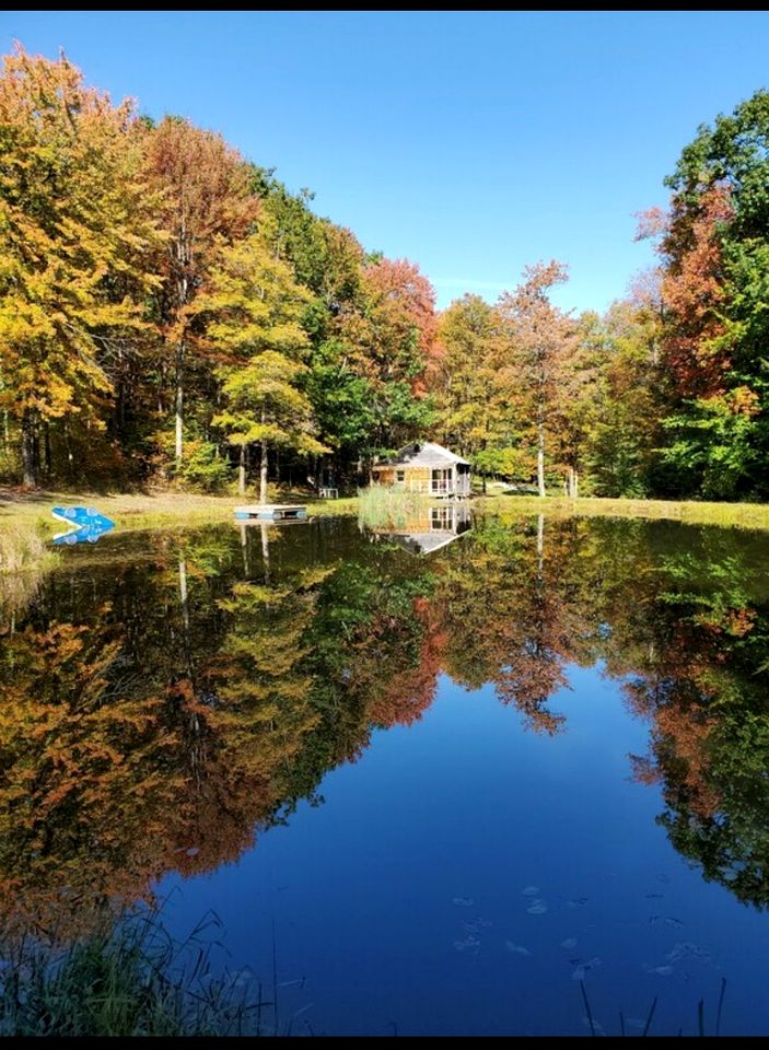 Peaceful Woodland Retreat with Private Pond & Total Privacy in Glen Aubrey, New York