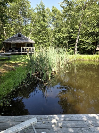 Cabins (United States of America, --, New York)