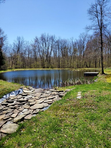 Cabins (United States of America, --, New York)