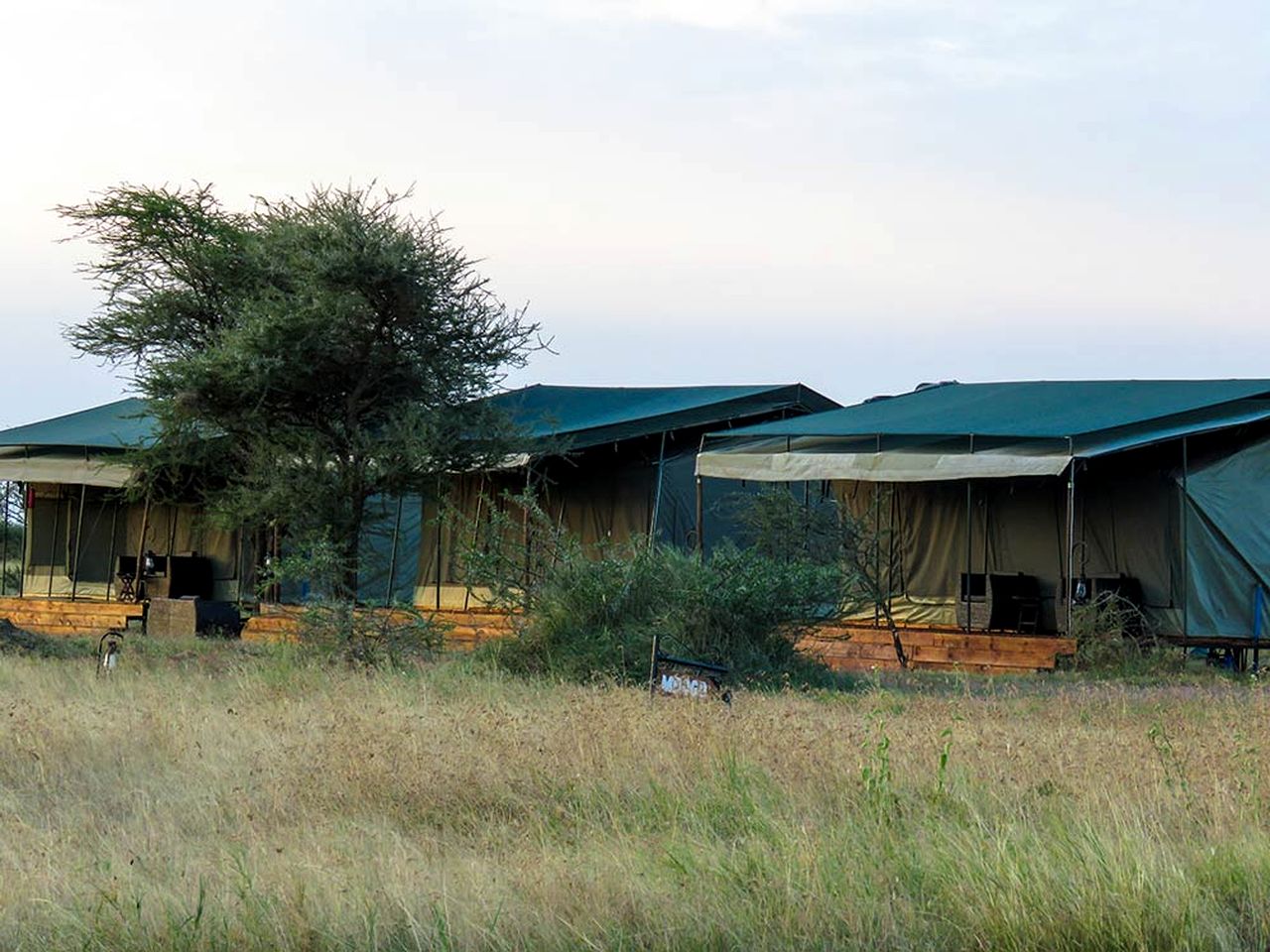 Comfortable Safari Tent with Private Park Access & Wildlife Encounters near Arusha, Tanzania