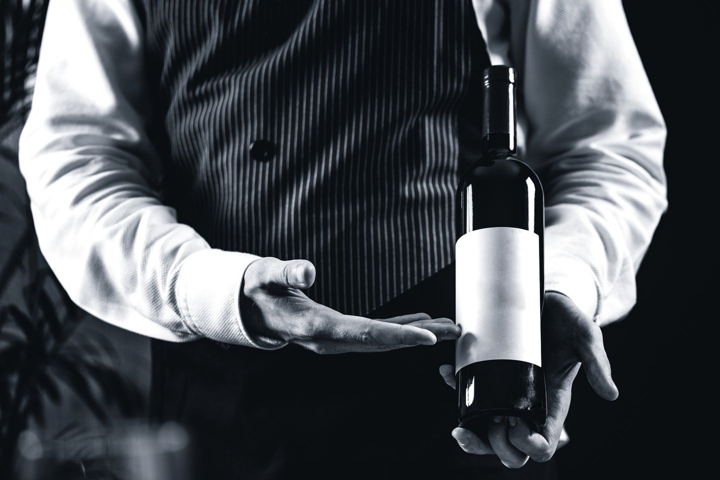 Exclusive Luxury Nature Retreat Lodges with Private Forest Spa & Gin Distillery Experience near Fokovci, Mura, Slovenia