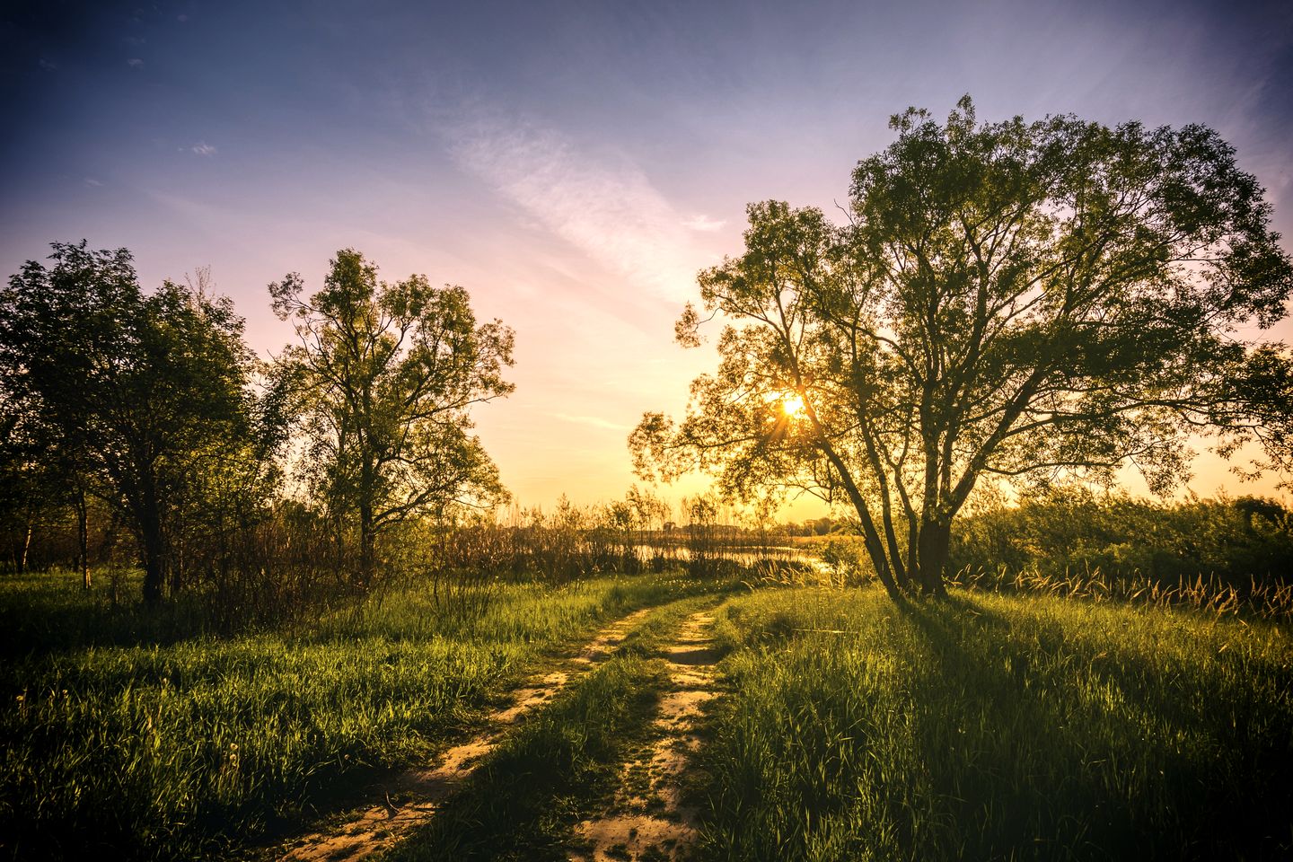 Experiential Luxury Nature Retreat Lodges with Forest Spa & Private Gin Experience near Fokovci, Mura, Slovenia