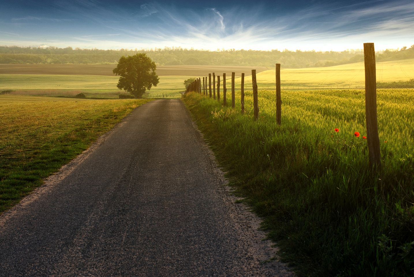 Boutique Luxury Nature Retreat Lodges with Private Forest Spa & Gin Experience near Fokovci, Mura, Slovenia