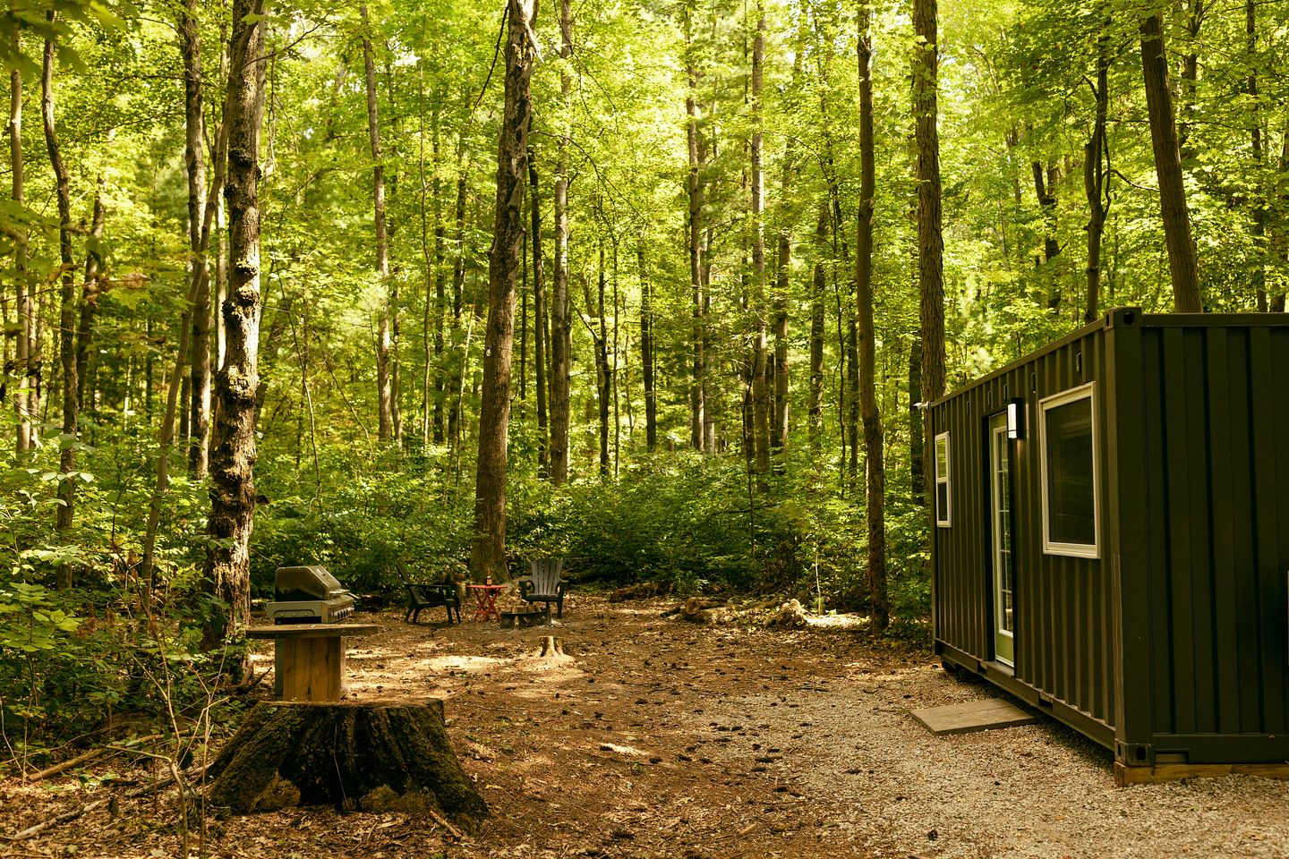 Cozy Semi Off-Grid Tiny Home Forest Retreat with Private Sauna & Cold Plunge Near Simcoe, Ontario