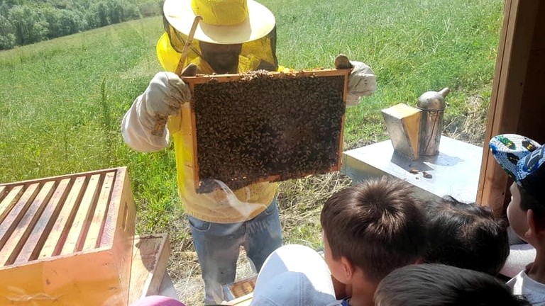 Safari Tents (Italy, --, --)