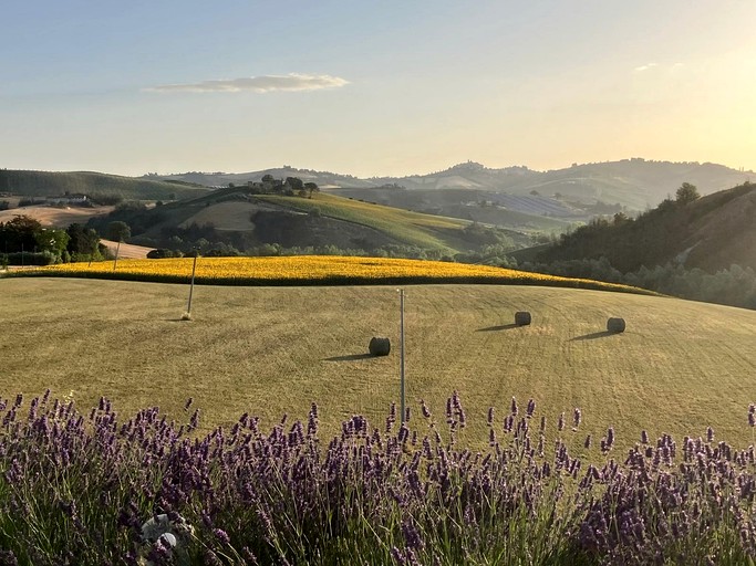 Safari Tents (Italy, --, --)