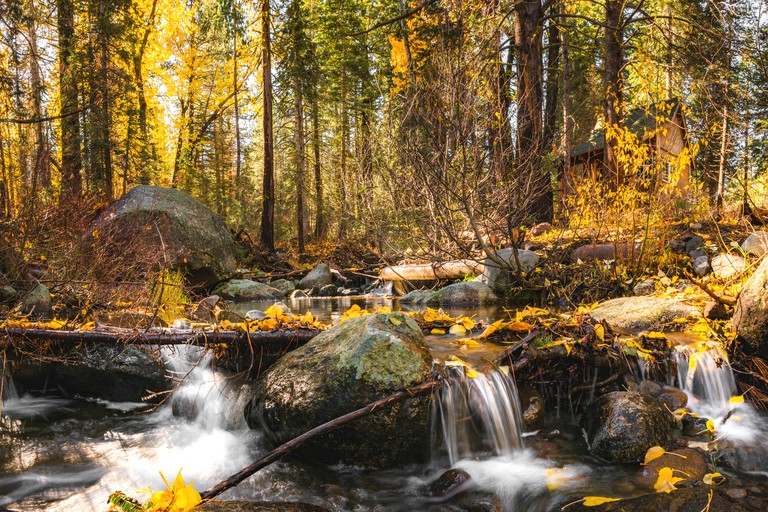 Cabins (United States of America, Truckee, California)