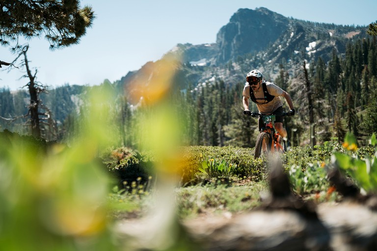 Cabins (United States of America, Truckee, California)