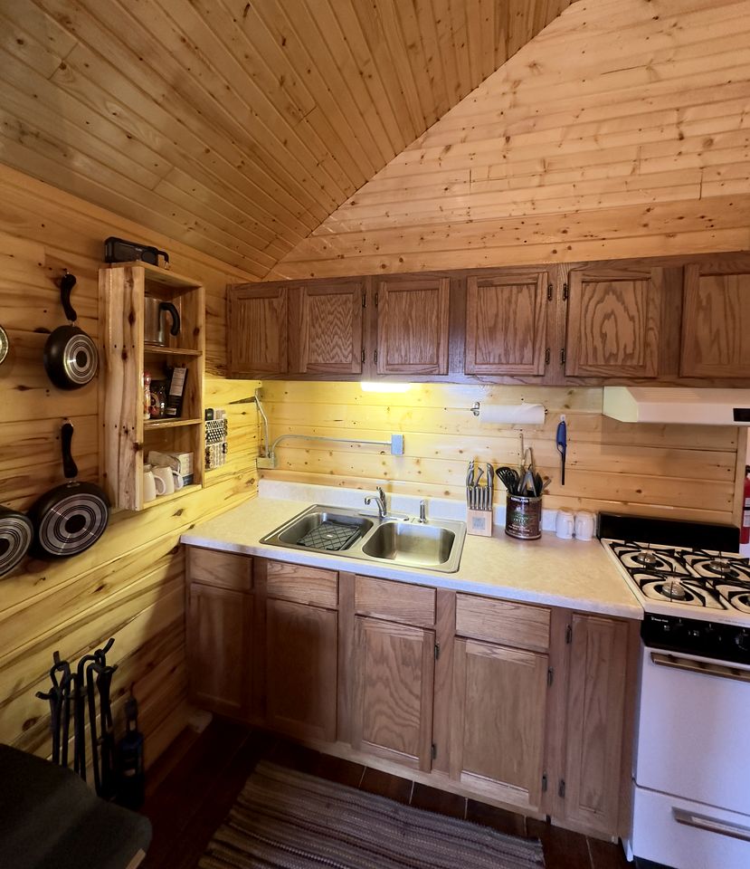 Secluded High-Elevation Cabin Under Pristine Dark Skies in La Jara, Colorado