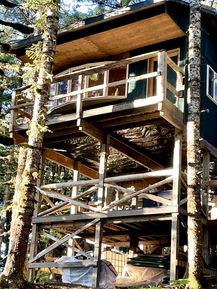 Cute Cabin Nestled in the Trees with Magical Forest Views for a Romantic Escape in Nature Whale Island, Alaska