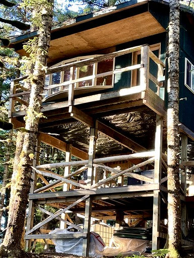 Cute Cabin Nestled in the Trees with Magical Forest Views for a Romantic Escape in Nature Whale Island, Alaska