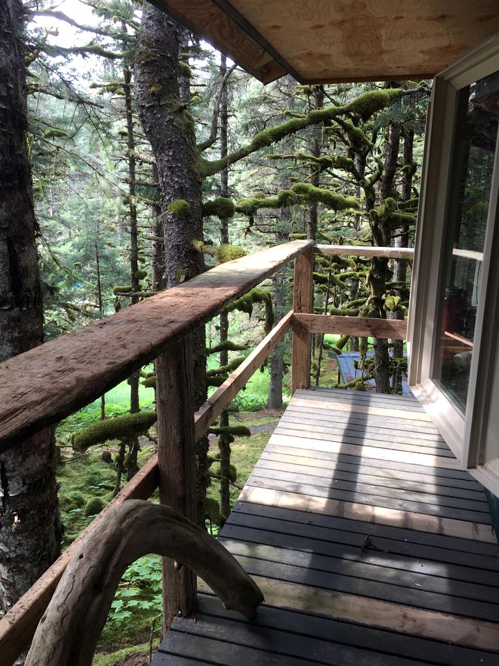 Cute Cabin Nestled in the Trees with Magical Forest Views for a Romantic Escape in Nature Whale Island, Alaska