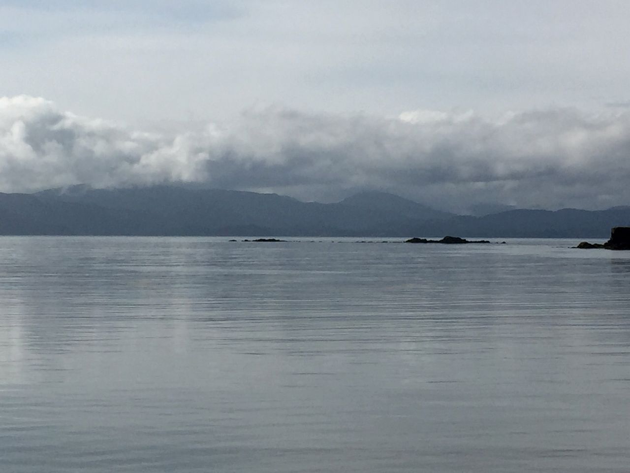 Cute Cabin Nestled in the Trees with Magical Forest Views for a Romantic Escape in Nature Whale Island, Alaska